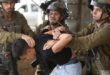 35 Palestinians arrested in the West Bank