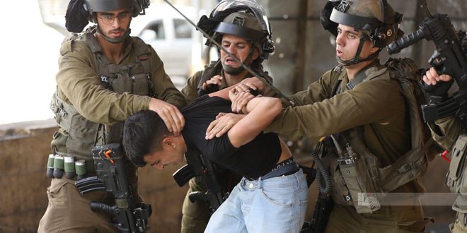 Israeli occupation troops arrest 10 Palestinians in the West Bank