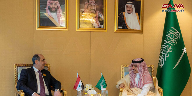 Syrian, Saudi FMs discuss latest developments in region