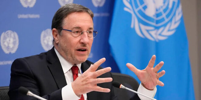 UNDP calls for long-term investment to support recovery in Syria