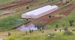 Joven palestino asesinado a tiros por fuerzas del ocupante israelí en Belén