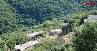 Al-Qureir, parque ecológico y un lugar turístico en la provincia central de Homs.