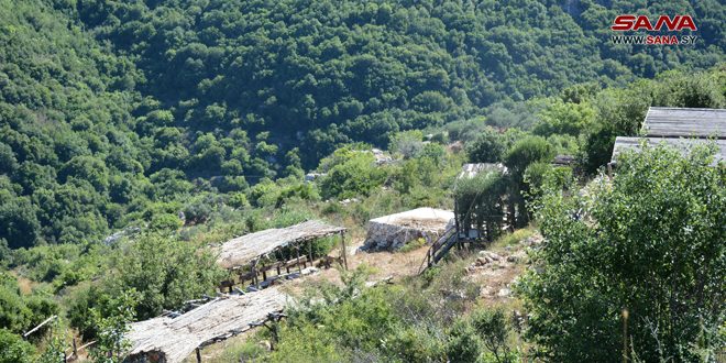 Al-Qureir, parque ecológico y un lugar turístico en la provincia central de Homs.