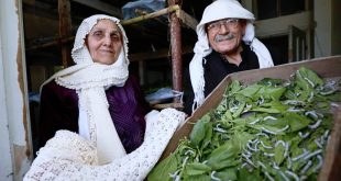 La-seda-natural,-uno-de-los-secretos-del-antiguo-patrimonio-sirio