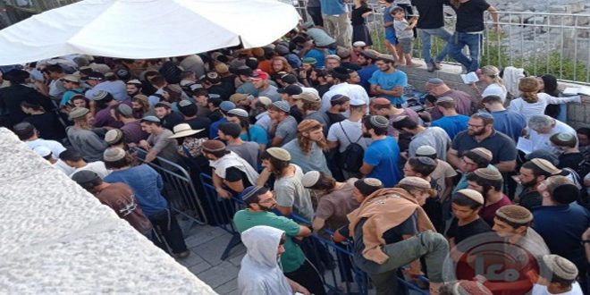 Más de mil colonos profanan la mezquita Al-Aqsa