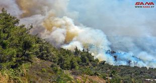 Reportan muerte de un efectivo de Defensa Civil durante los incendios en Latakia