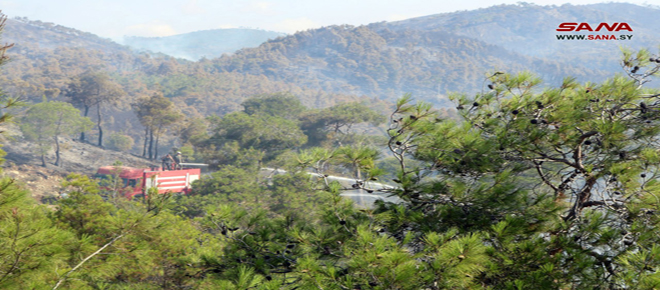 Por cuarto día consecutivo, bomberos luchan por controlar incendios en Latakia