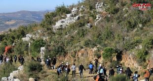 Estudiantes sirios reforestan zonas afectadas por incendios en Homs