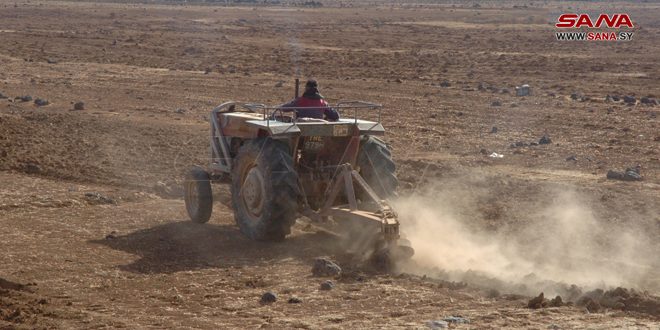 با مساحت بیش از 47 هزار هکتار… آغاز کشت محصول جو در حمص